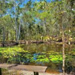 95 Sea Eagles Road, Booral, QLD 4655 AUS