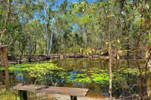 95 Sea Eagles Road, Booral, QLD 4655 AUS