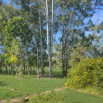 14 Whimbrel Grove, Eli Waters, QLD 4655 AUS
