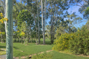 14 Whimbrel Grove, Eli Waters, QLD 4655 AUS