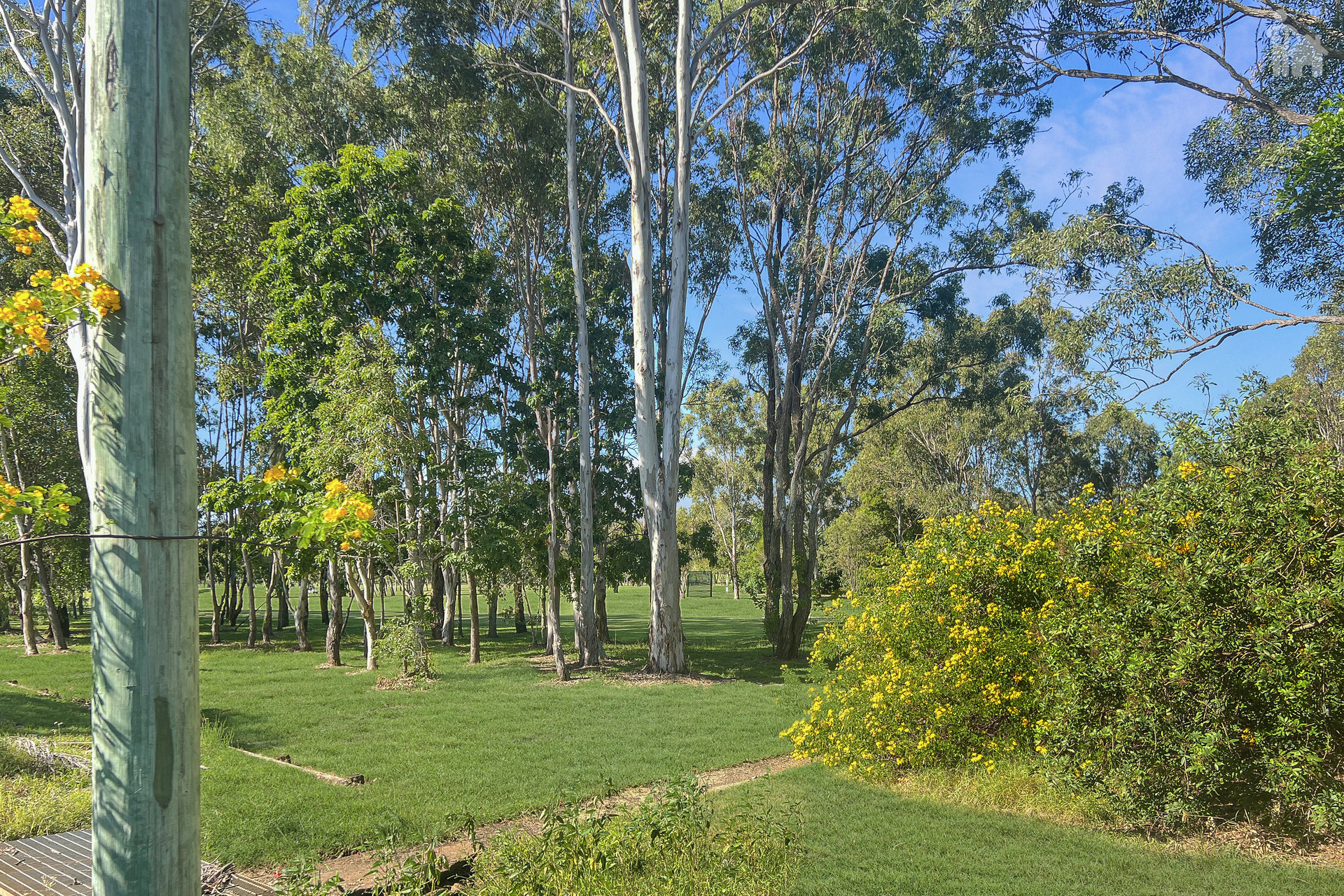 14 Whimbrel Grove, Eli Waters, QLD 4655 AUS