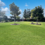 7 Red Gum Court, Urraween, QLD 4655